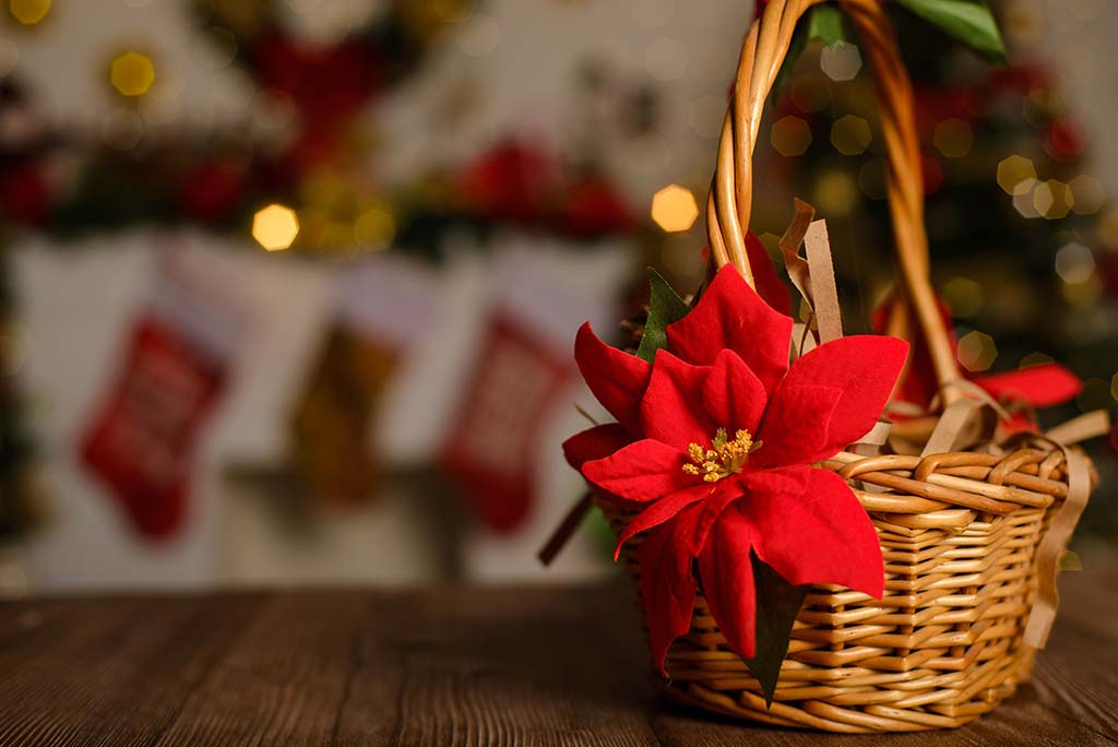 cestas de mimbre para navidad