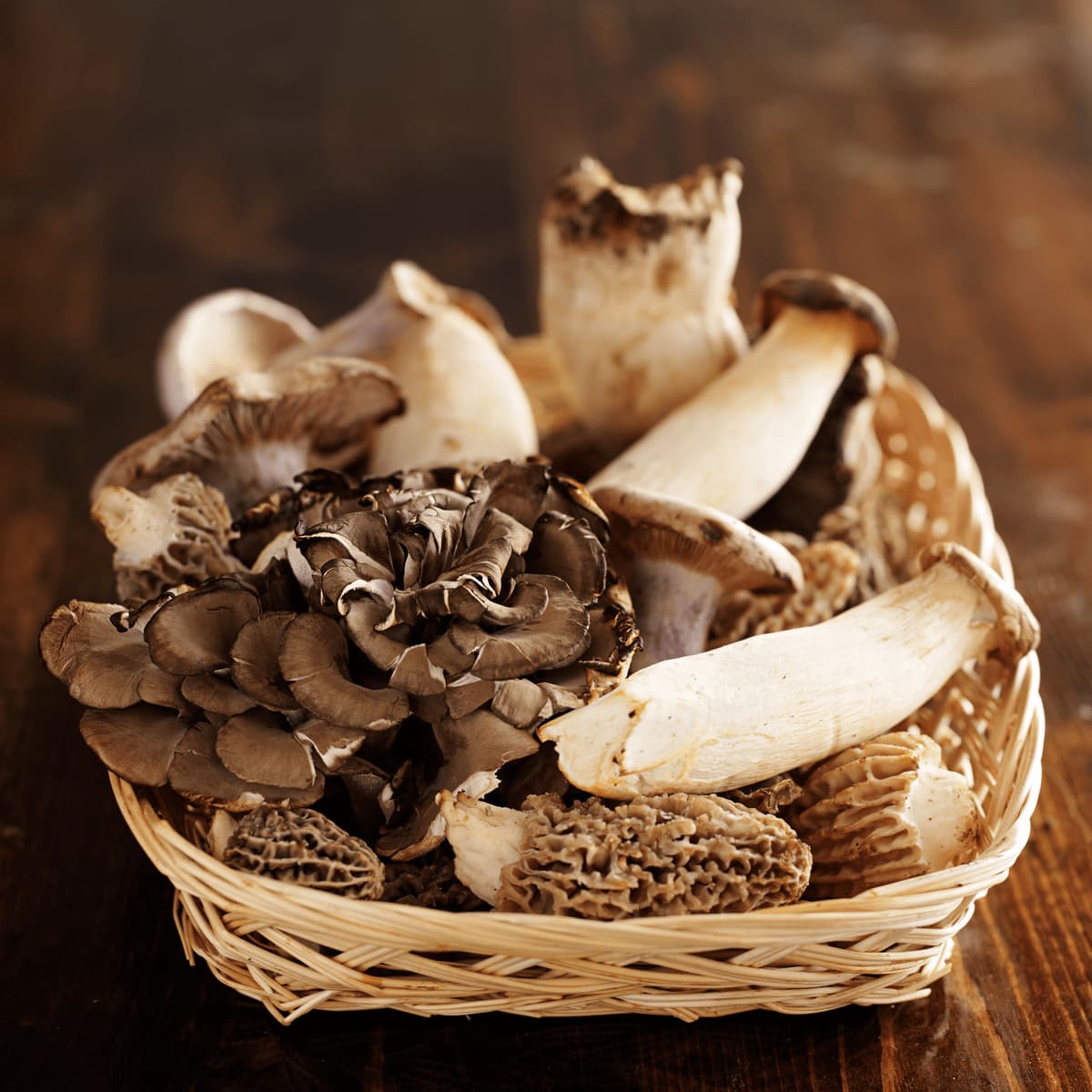 basket of assorted gourmet mushrooms 2023 11 27 05 12 15 utc 1 MimPlas