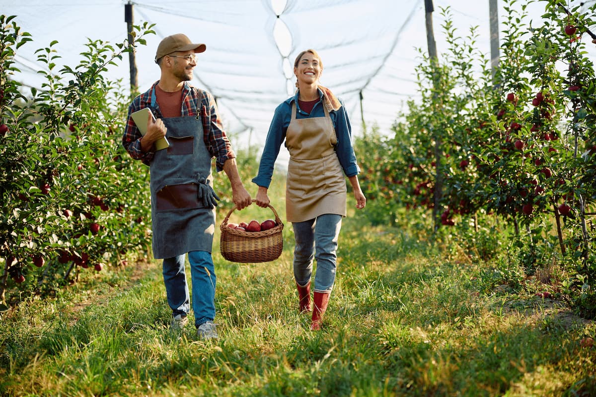 happy orchard owners walking with wicker basket fu 2023 11 27 05 04 46 utc 1 MimPlas