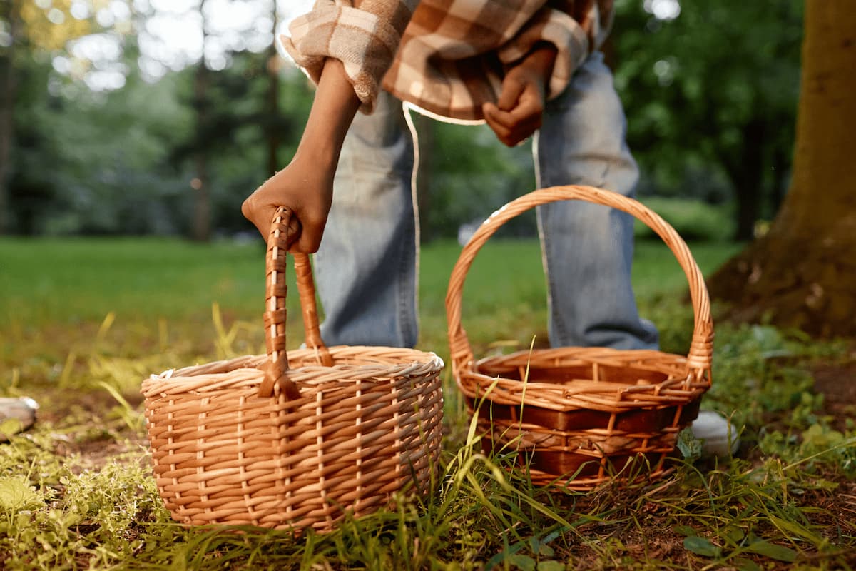 hand touching wicker basket 2024 09 09 15 58 07 utc 1 MimPlas