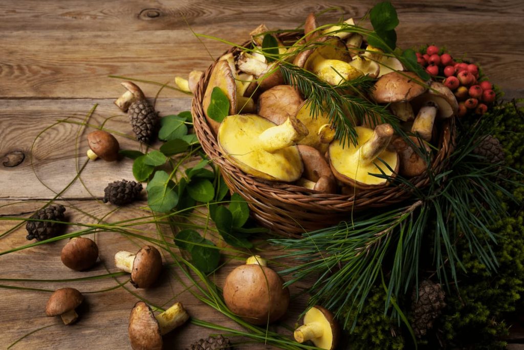 wicker basket with mushrooms and berries close up 2025 01 09 04 25 03 utc 1 MimPlas